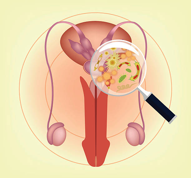 tumor testicular