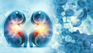 Urólogos en Guadalajara: servicios profesionales y especializados