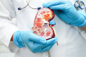 ¿Qué dicen tus riñones? La verdad detrás de tus análisis y ecografías urológicas