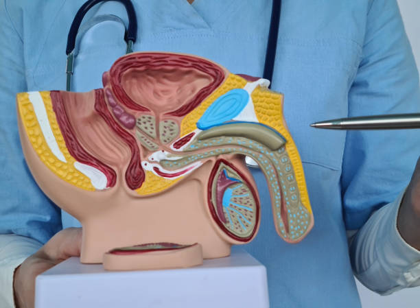 urólogo en Guadalajara 