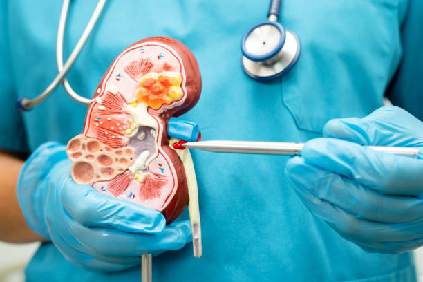 urólogo en Guadalajara