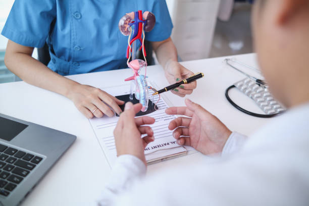 ¿Qué hace un urólogo en la primera cita? Guía completa sobre valoración médica ¿Qué hace un urólogo en la primera cita? Guía completa sobre valoración médica