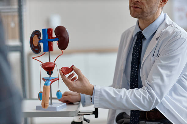 ¿Qué hace un urólogo en la primera cita? Guía completa sobre valoración médica