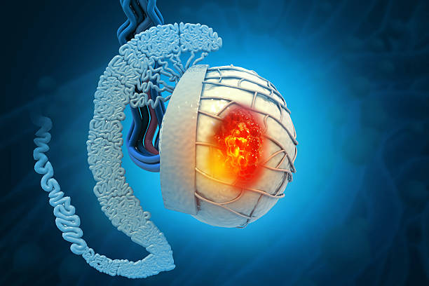 tumor